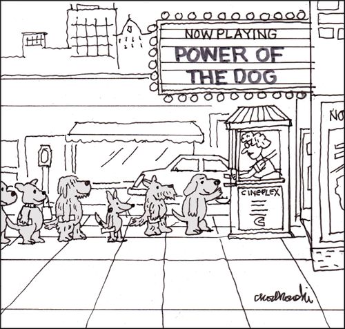 Power of the dog