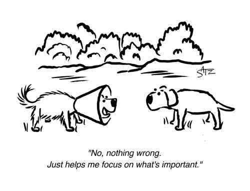"No, nothing wrong. Just helps me focus on what's important."