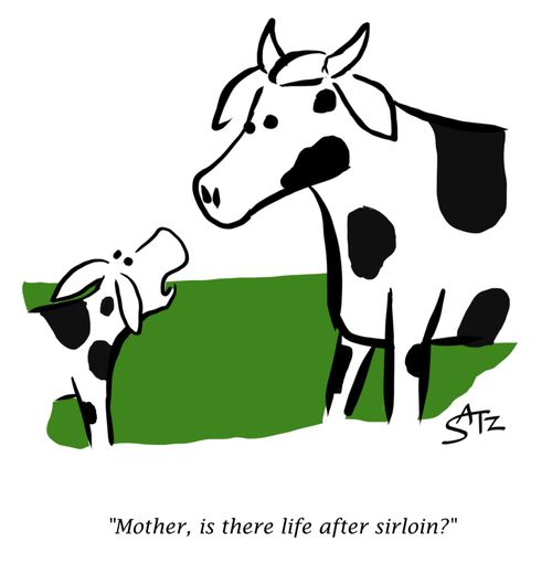 "Mother, is there life after sirloin?"