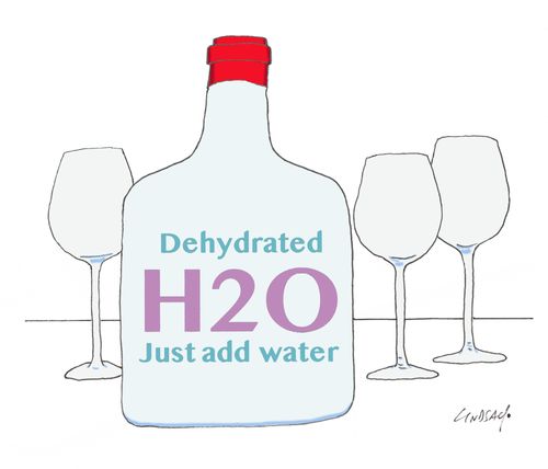 Dehydrated H2O Just Add Water