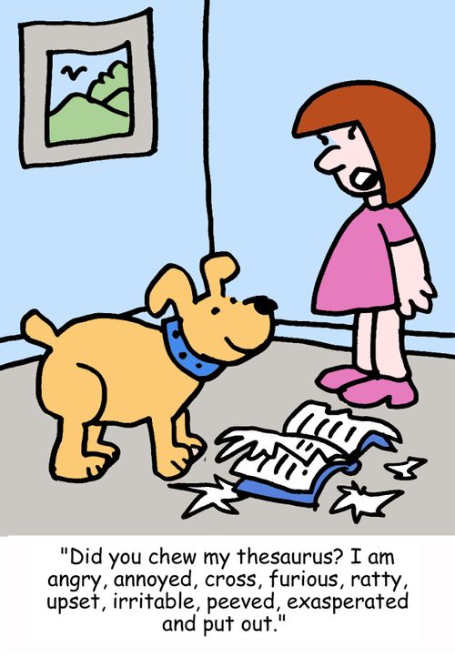 "Did you chew my thesaurus? I am angry, annoyed, cross, furious, ratty, upset, irritable, peeved, exasperated and put out."
