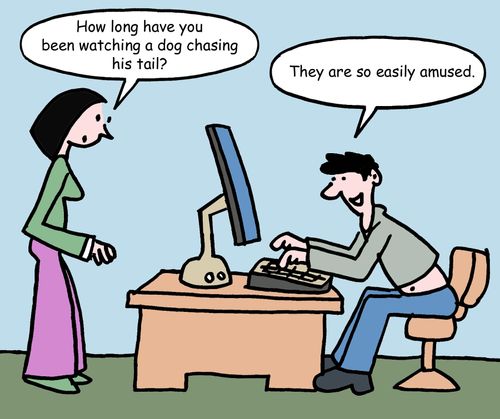 "How long have you been watching a dog chasing his tail?"