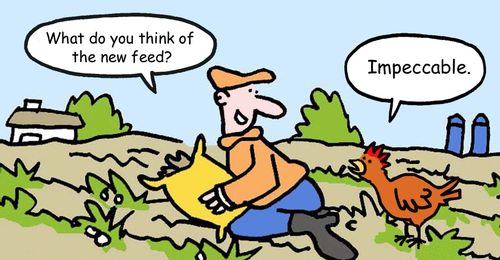 "What do you think of the new feed?"