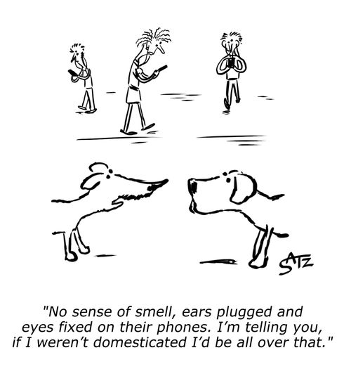 "No sense of smell, ears plugged and eyes fixed on their phones. I'm telling you, if I weren't domesticated I'd be all over that."