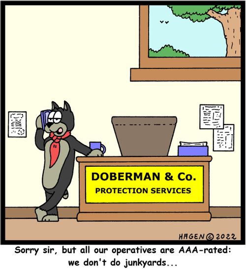 "Sorry sir, but all our operatives are AAA-rated: we don't do junkyards..."