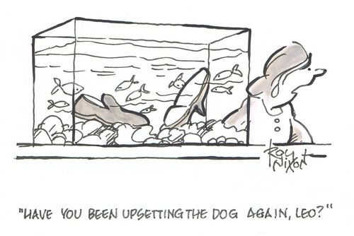 "Have you been upsetting the dog again, Leo?"