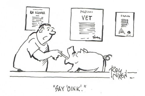 "Say 'oink'."