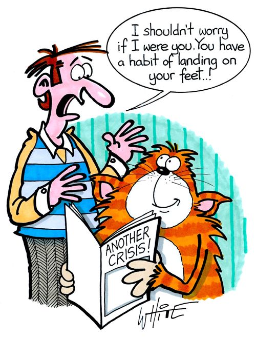 "I shouldn't worry if I were you. You have a habit of landing on your feet..!"