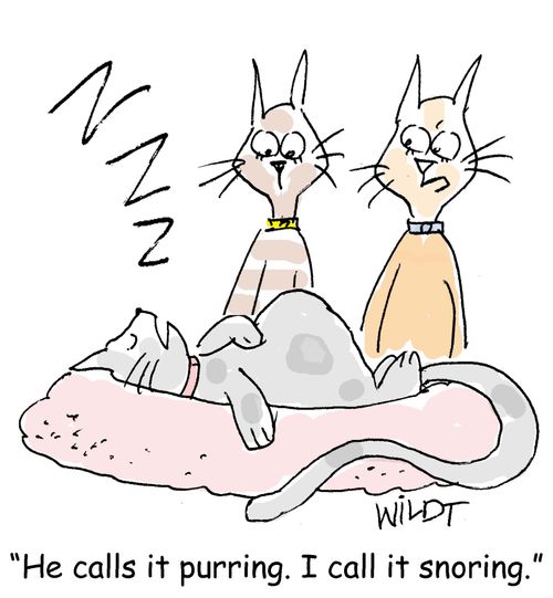 "He calls it purring. I call it snoring."