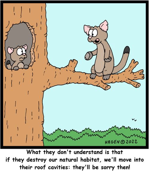  "What they don't understand is that of they destroy our natural habitat, we'll move into their roof cavities: They'll be sorry then!"