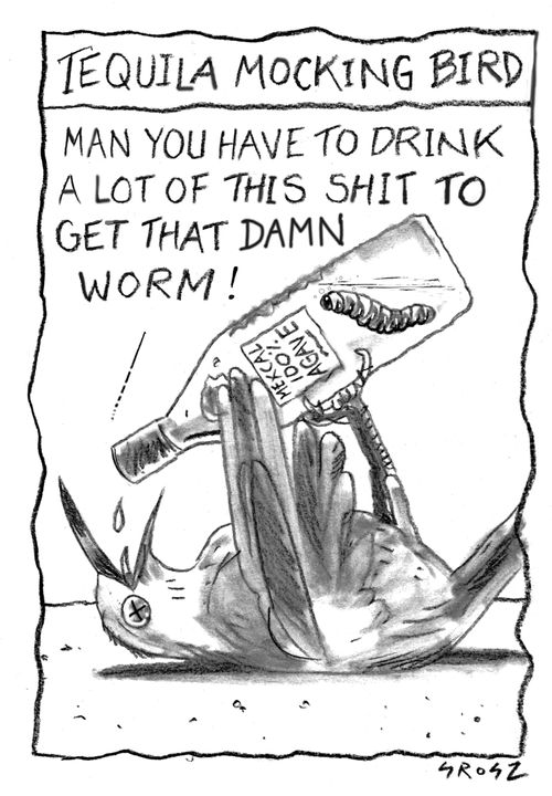 Tequila Mocking Bird