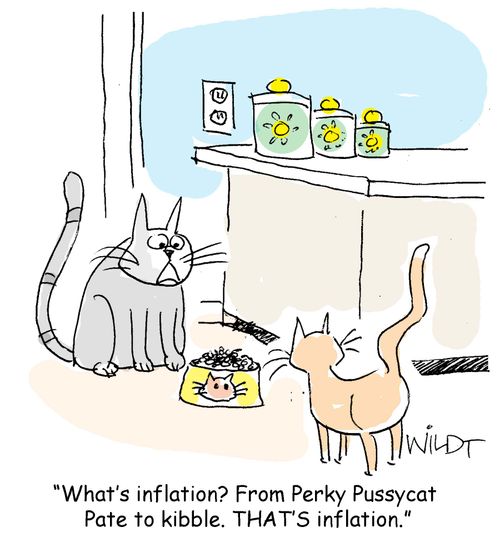 "What's inflation? From Perky Pussycat Pate to kibble. That's inflation."