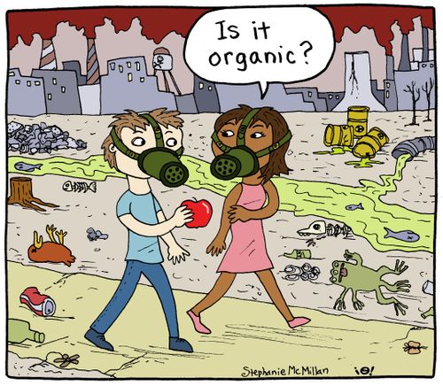 "Is it organic?"
