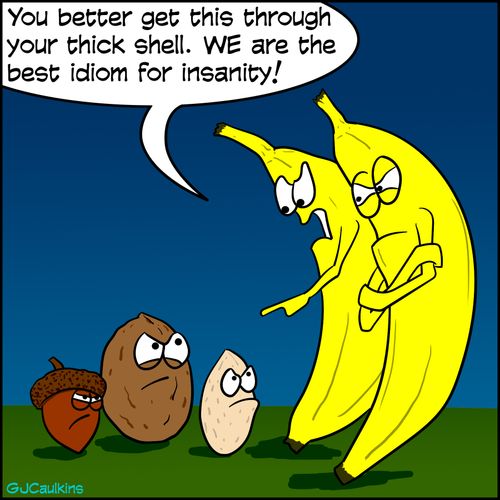 "You better get this through your thick shell. We are the best idiom for insanity!"