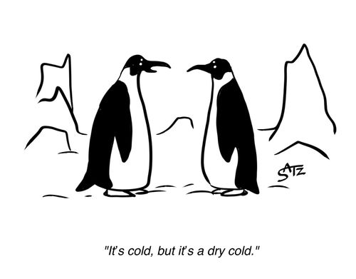 "It's cold, but it's a dry cold penguin."