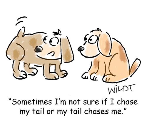 "Sometimes I'm not sure if I chase my tail or my tail chases me."