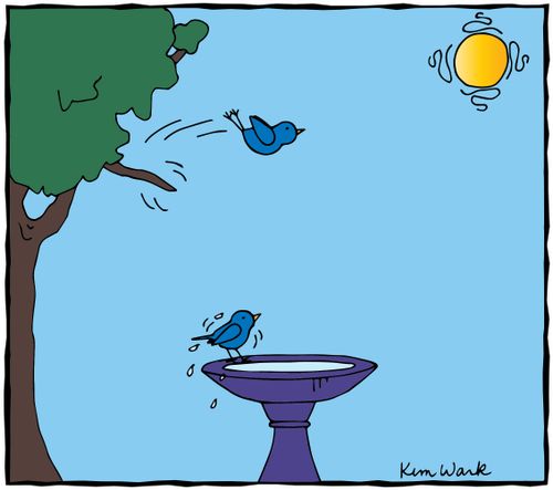 A bird diving into a bird bath
