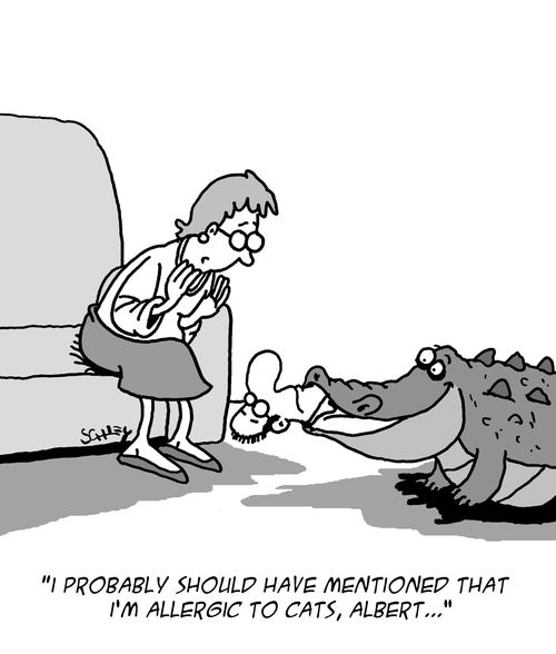 "I probably should have mentioned that I'm allergic to cats, Albert. . ."