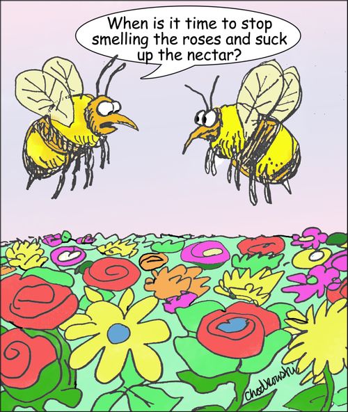 "When is it time to stop smelling the roses and suck up the nectar?"
