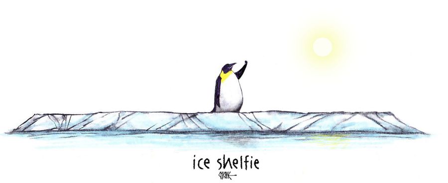 Ice shelfie.