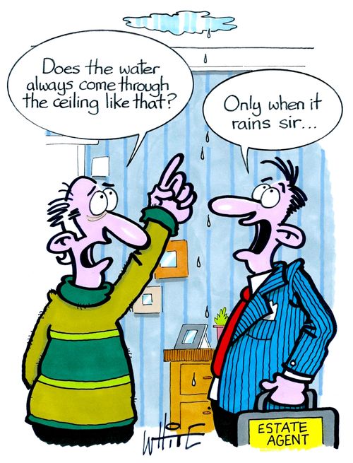 "Does the water always come through the ceiling like that?"