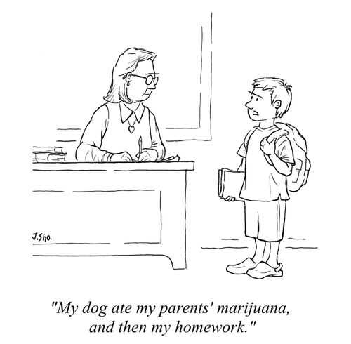 "My dog ate my parents' marijuana, and then ate my homework."