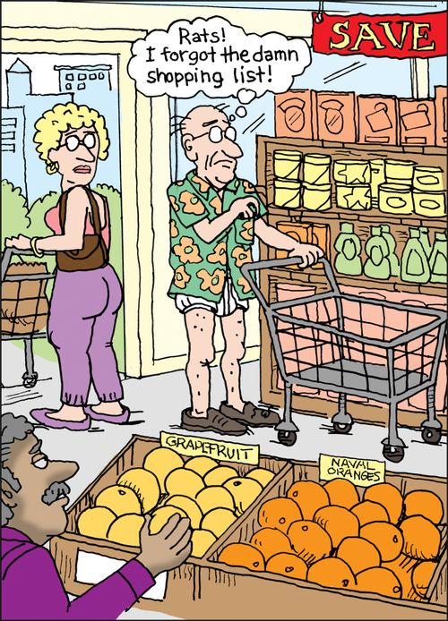 "Rats! I forgot the damn shopping list!"