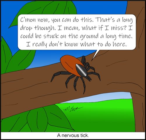 A nervous tick.