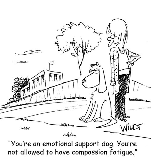 "You're an emotional support dog. You're not allowed to have compassion fatigue."