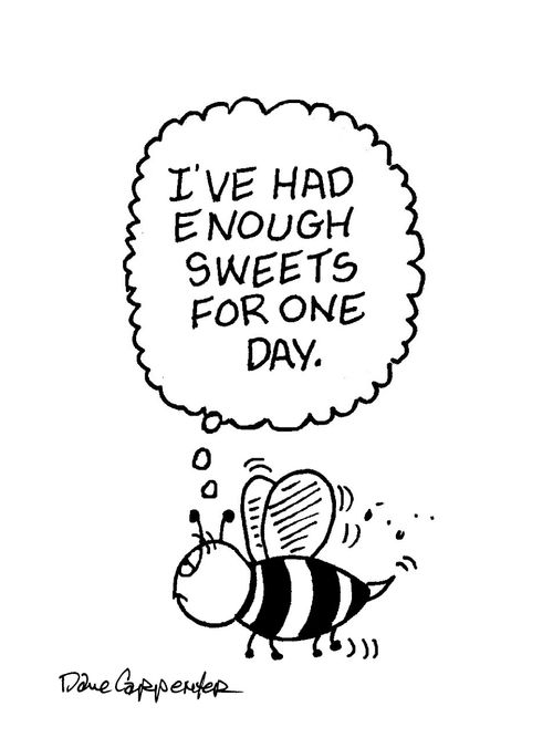 "I've had enough sweets for one day."