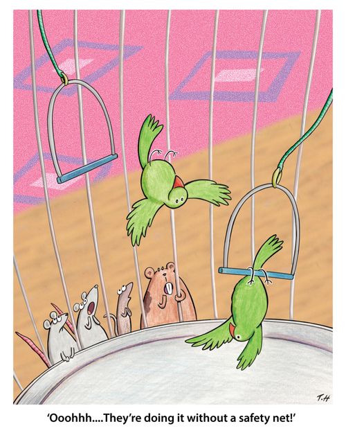"They're doing it without a safety net!" 