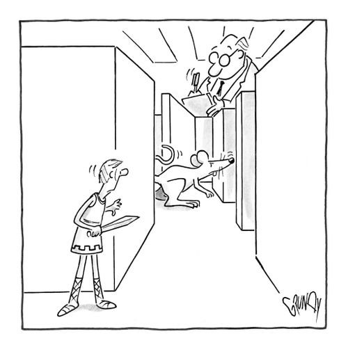 Scientist studies a rat chasing a gladiator.