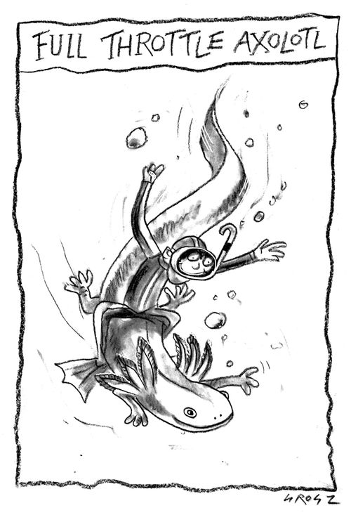 Full throttle axolotl.