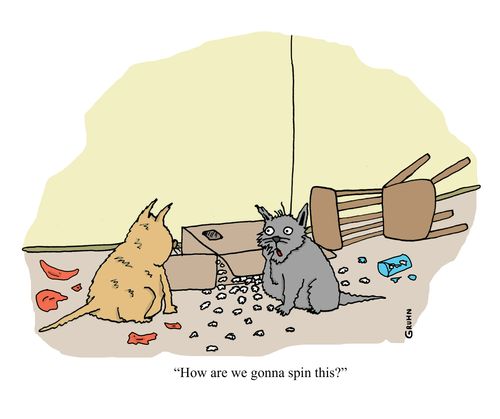 "How are we gonna spin this?"