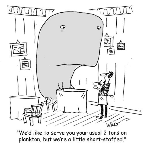 "We'd like to serve you your usual 2 tons on plankton, but we're a little short-staffed."
