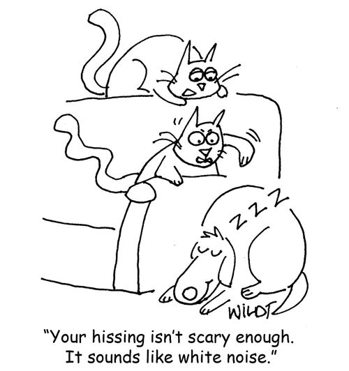 "Your hissing isn't scary enough. It sounds like white noise."