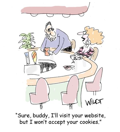 "Sure, buddy, I'll visit your website, but I won't accept your cookies."
