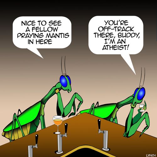 "Nice to see a fellow Praying Mantis in here."