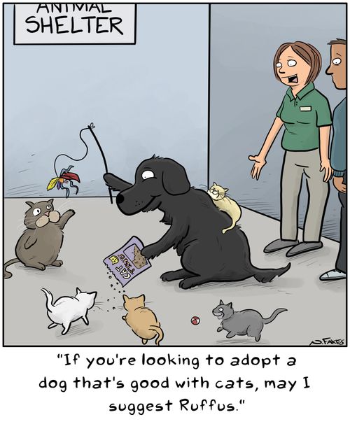 "If you're looking to adopt a dog that's good with cats, may I suggest Ruffus."