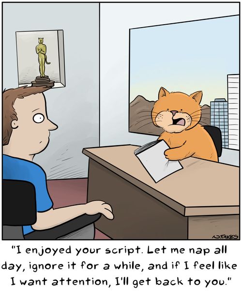 "I enjoyed your script. Let me nap all day, ignore it for a while, and if I feel like I want attention, I'll get back to you."