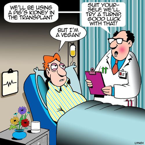 "We'll be using a pig's kidney in the transplant....Suit yourself, we'll try a turnip, good luck with that!"