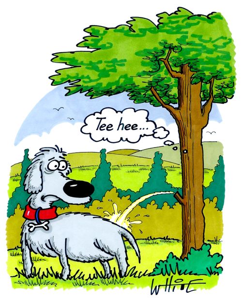 Tree Revenge