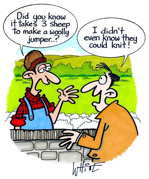 "I didn't even know they could knit!"