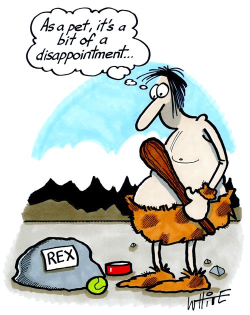 "As a pet, it's a bit of a disappointment..."