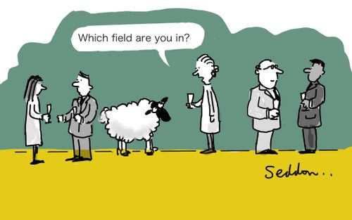 "Which field are you in?"