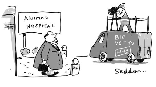 Animal Hospital
