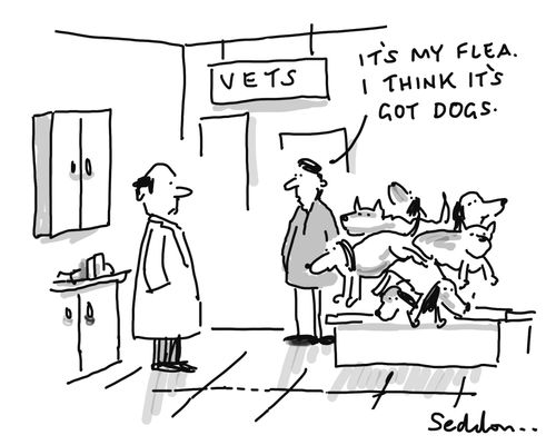 "It's my flea. I think it's got dogs."