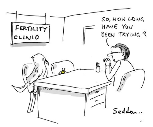 "So, how long have you been trying?"