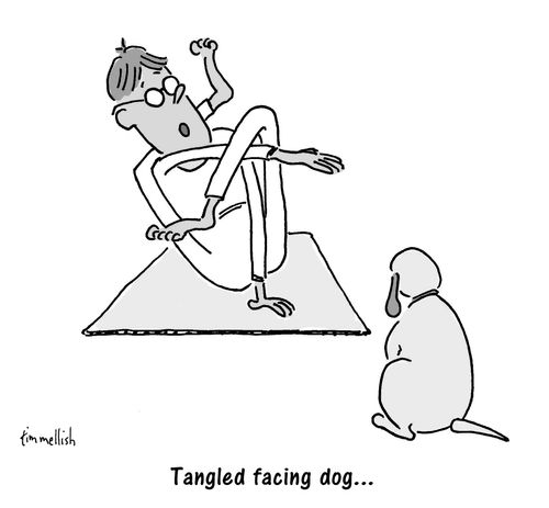 Tangled facing dog...