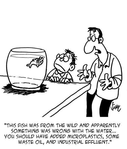 "This fish was from the wild and apparently something was wrong with the water... you should have added microplastics, some waste oil, and industrial effluent."